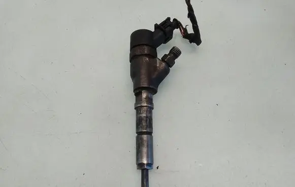 Fiat Scudo Fuel injector 0445110076