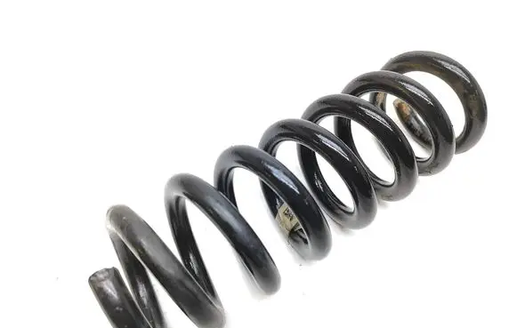 Rear coil spring