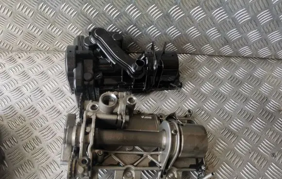 Skoda Roomster (5J) Oil pump 03P103127C 03P103669E 03P115124C