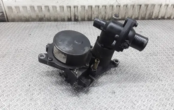 Thermostat/thermostat housing