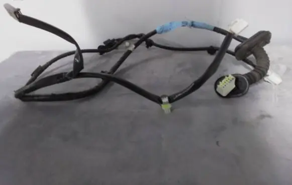 Ford Edge II Other wiring loom 81822