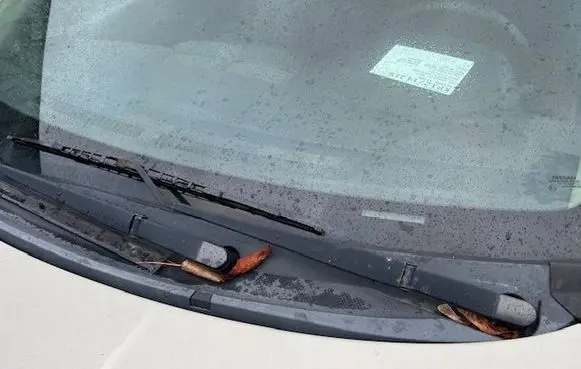 Nissan Tiida C11 Front wiper blade arm