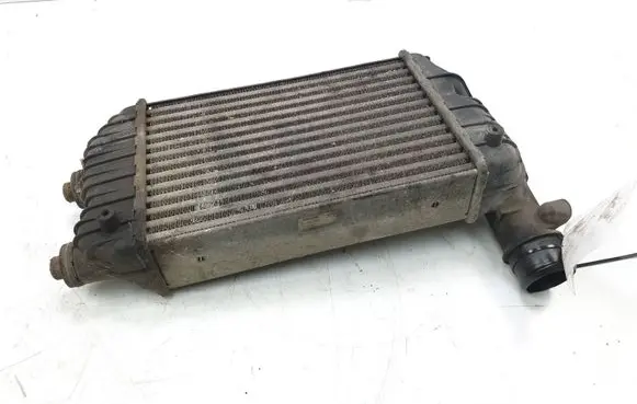 Citroen Jumper Intercooler radiator 1307012080