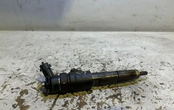 Citroen C3 Fuel injector 0445110340
