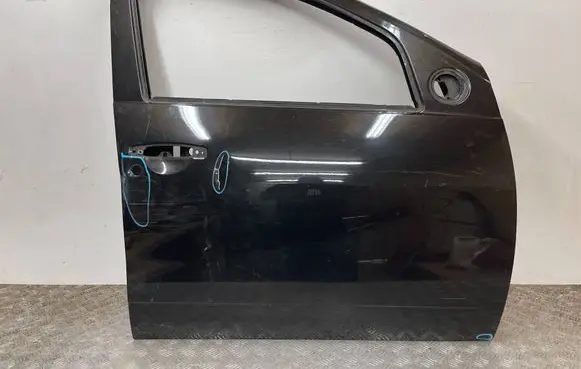 Dacia Sandero Front door 