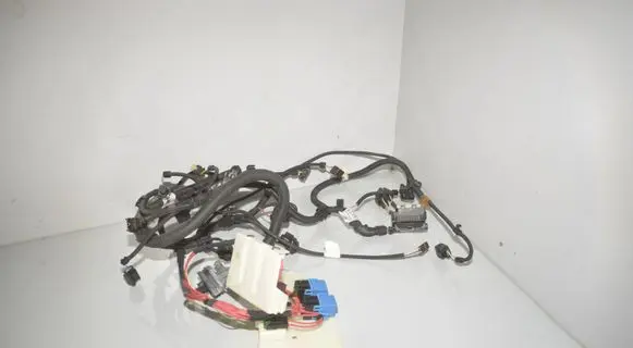Engine installation wiring loom