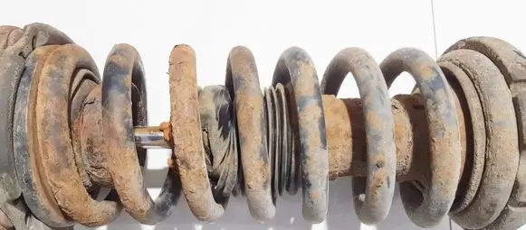 Front coil spring