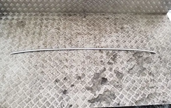 Seat Exeo (3R) Roof trim bar molding cover 