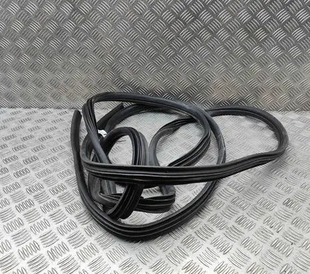 Opel Movano B Rubber seal rear door 95508344