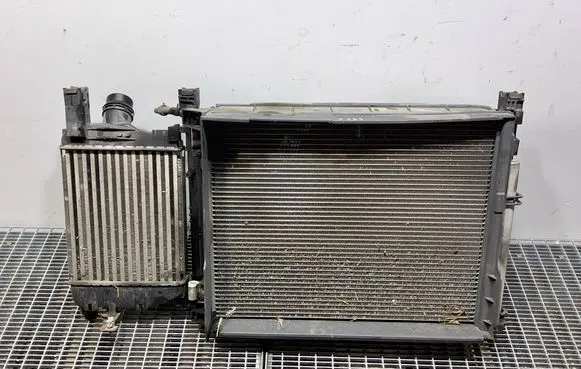 Dacia Sandero Radiator set 