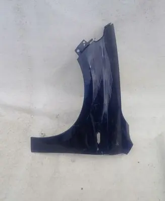 Fiat Tipo Fender