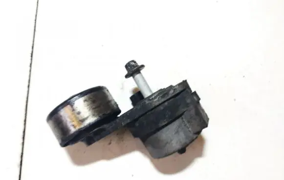 Opel Insignia A Generator/alternator belt tensioner 55563512