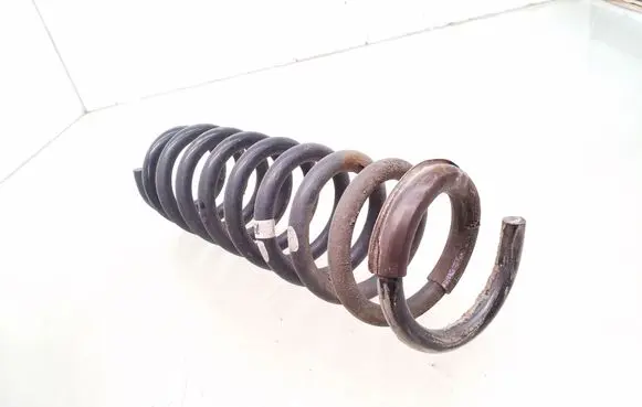 Rear coil spring