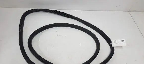 Peugeot 308 Front door rubber seal