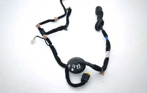 Rear door wiring loom