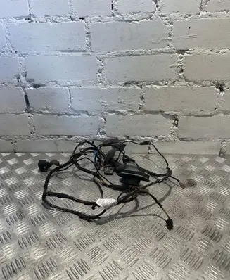 BMW X5 E70 Front door wiring loom 9187998