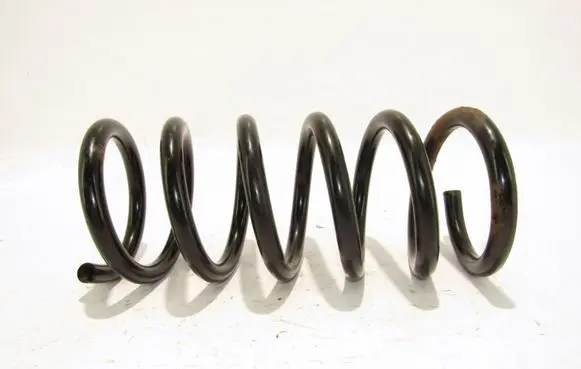 Opel Antara Rear coil spring