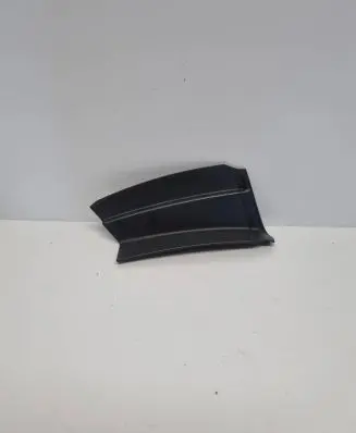 Rear/tail light trim molding