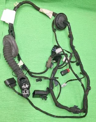Front door wiring loom
