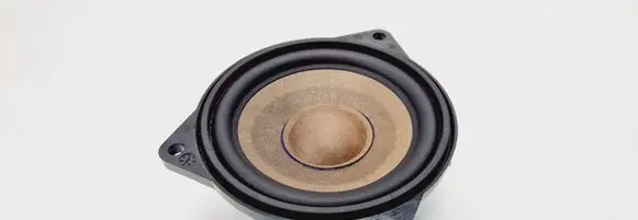 BMW 5 F10 F11 Panel speaker 65139169689 73866112 26010B0221