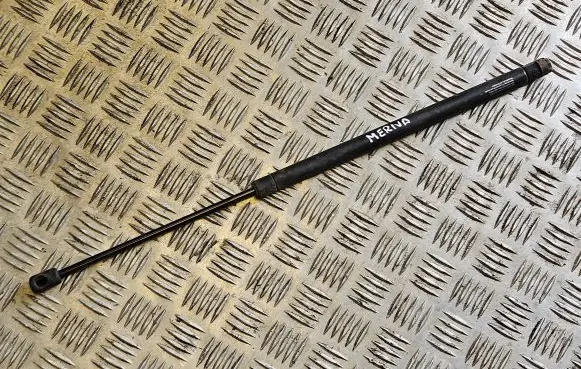 Tailgate/trunk strut/damper