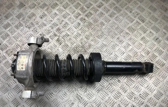 Porsche Cayenne (92A) Rear shock absorber/damper 7P5513029G