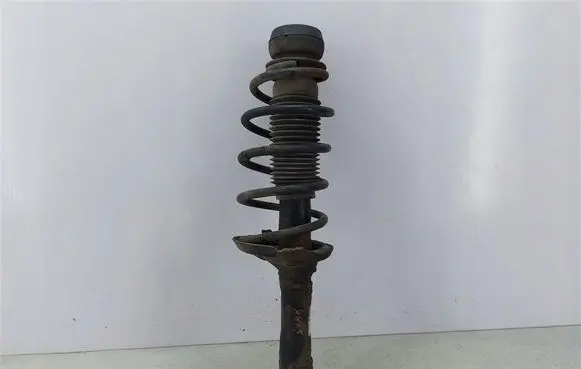 Seat Toledo II (1M) Front shock absorber with coil spring