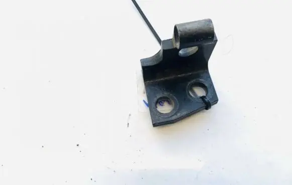 BMW X5 E53 Rear door lower hinge