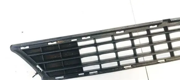 Mercedes-Benz B W245 Front bumper lower grill A1698850123 210000033