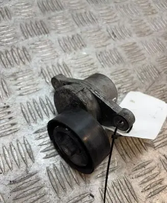 Citroen C4 II Generator/alternator belt tensioner 9801875280