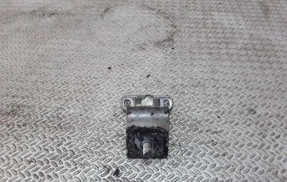 Volkswagen Golf V Tailgate/trunk/boot hinge