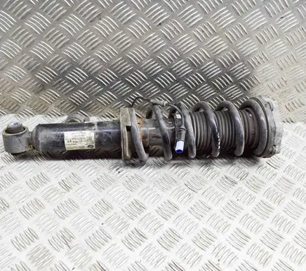 Rear shock absorber/damper