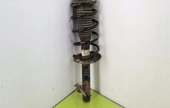Peugeot 1007 Front shock absorber with coil spring