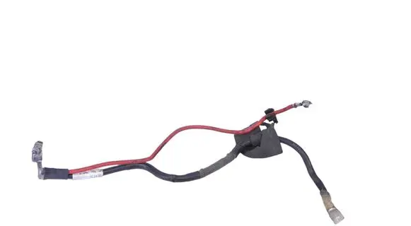 Positive wiring loom