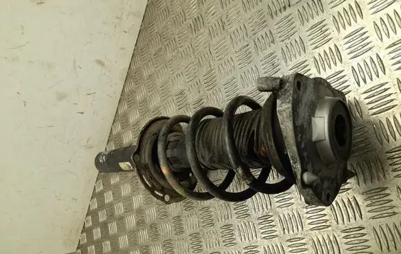 Skoda Enyaq iV Front wheel hub 1EA413031Q