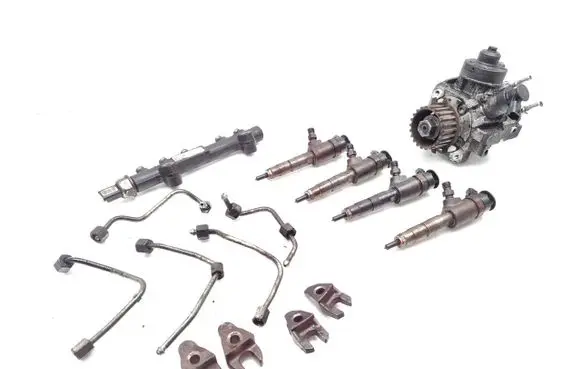 Ford Fiesta Fuel injection system set 9688499680 0445010516 0445110339