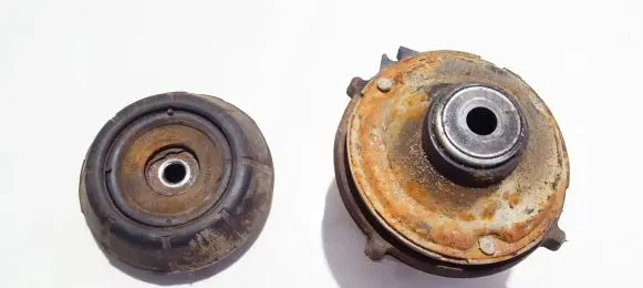 Coil spring mount