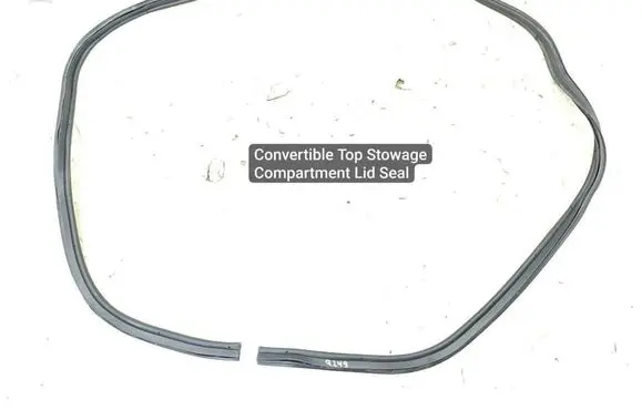Chevrolet Corvette C8 Rubber seal tailgate window/glass 246649263