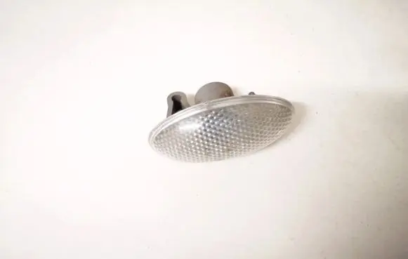 Front fender indicator light