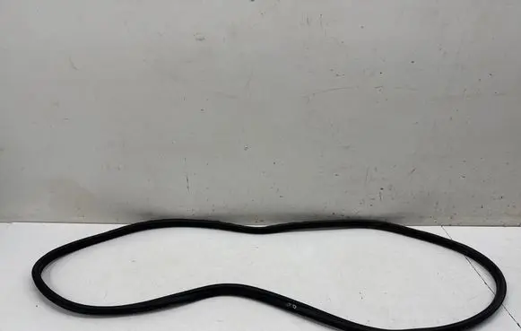 BMW iX3 G08 Rear door rubber seal (on body) 7393449