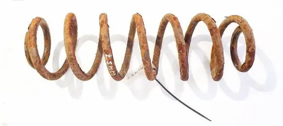 Rear coil spring