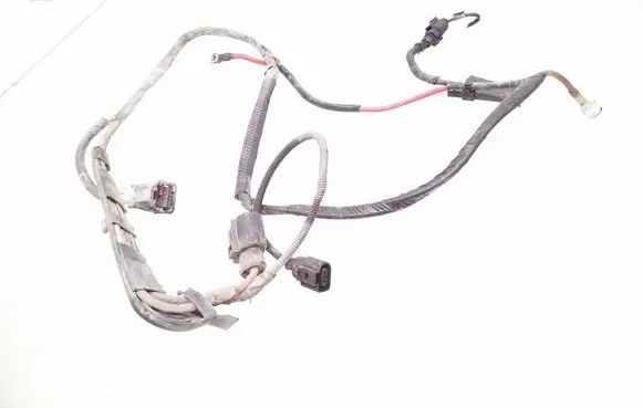 Other wiring loom