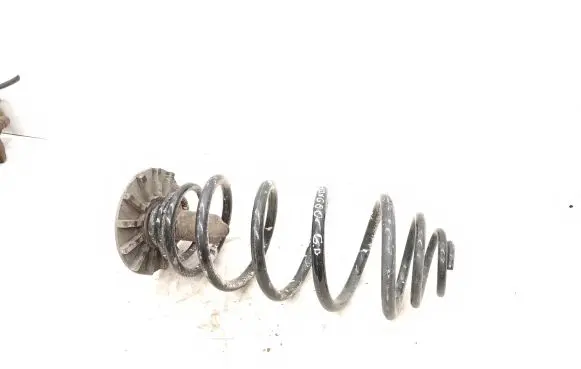 Renault Kangoo II Rear coil spring