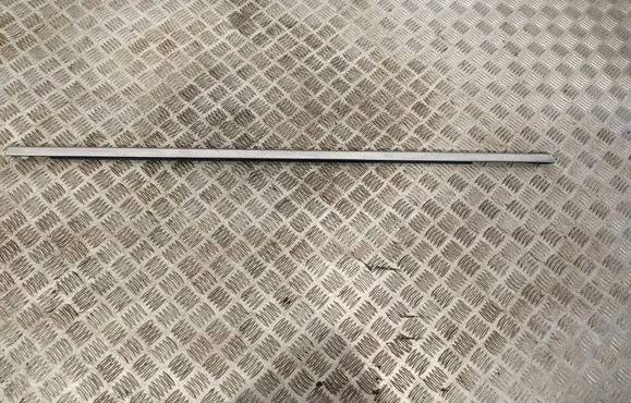 Chrysler Pacifica Rear door trim (molding)