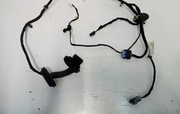 Citroen C3 Aircross Rear door wiring loom 39149181