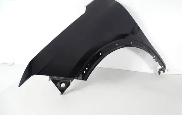 Renault Scenic E-Tech V Fender 7246R0698R