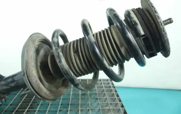 Front coil spring