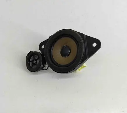 Panel speaker