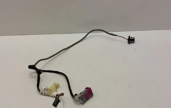 Volkswagen PASSAT B6 Front door wiring loom 3C1971558AM