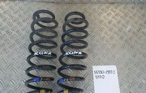 Hyundai Kona I Rear coil spring 55330J9EE0